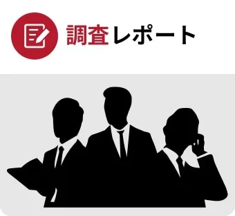 調査レポート