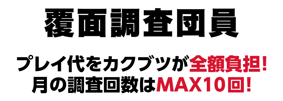 専属風俗覆面調査団 専属風俗覆面調査団